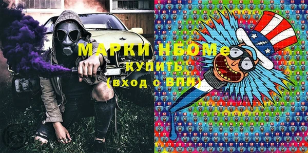 сатива Ельня