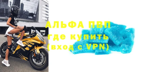 сатива Ельня