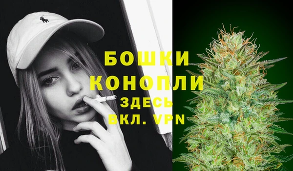 сатива Ельня