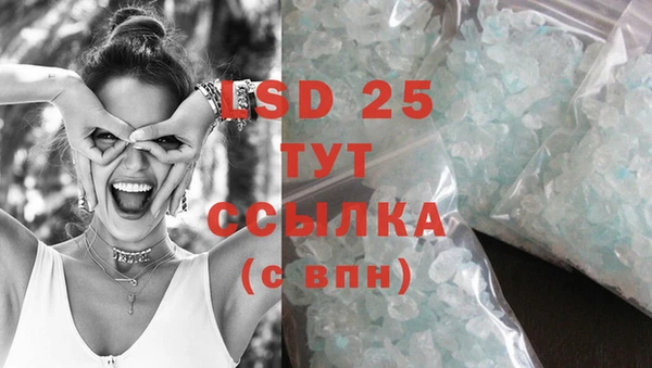 сатива Ельня