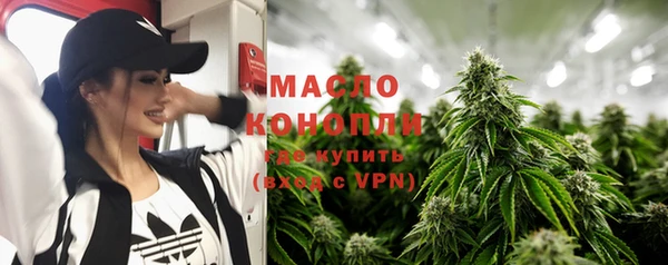 дмт Елабуга