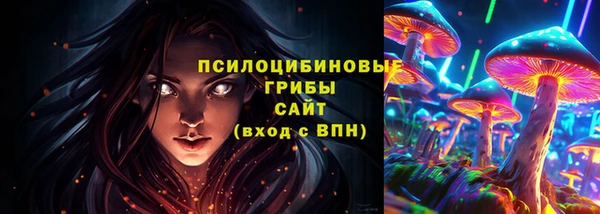 дживик Елизово