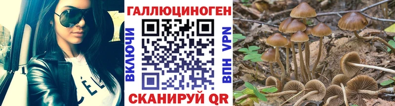 Псилоцибиновые грибы Cubensis  Купить  Беслан 